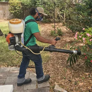 mosquito-control