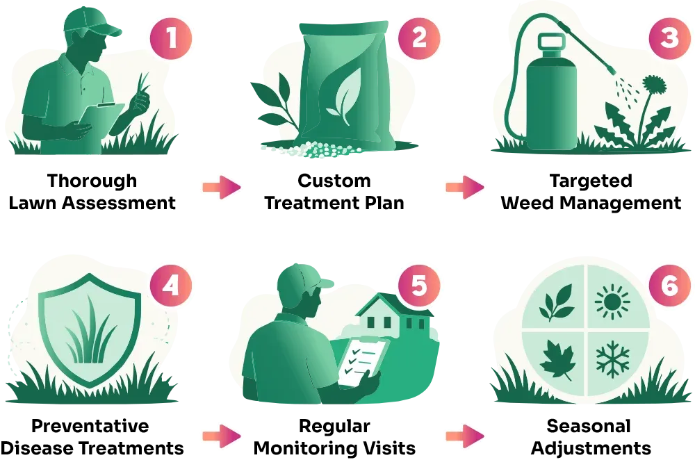 lawn-treatment-process