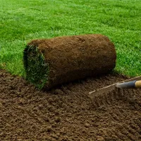 sod