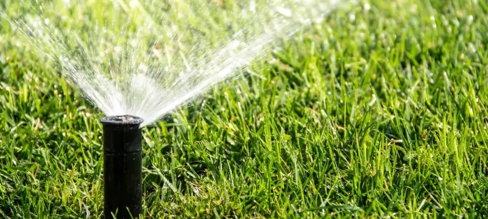 sprinkler