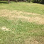 droughtstress