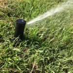 howtowateryourlawn