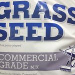 RYE GRASS SEED