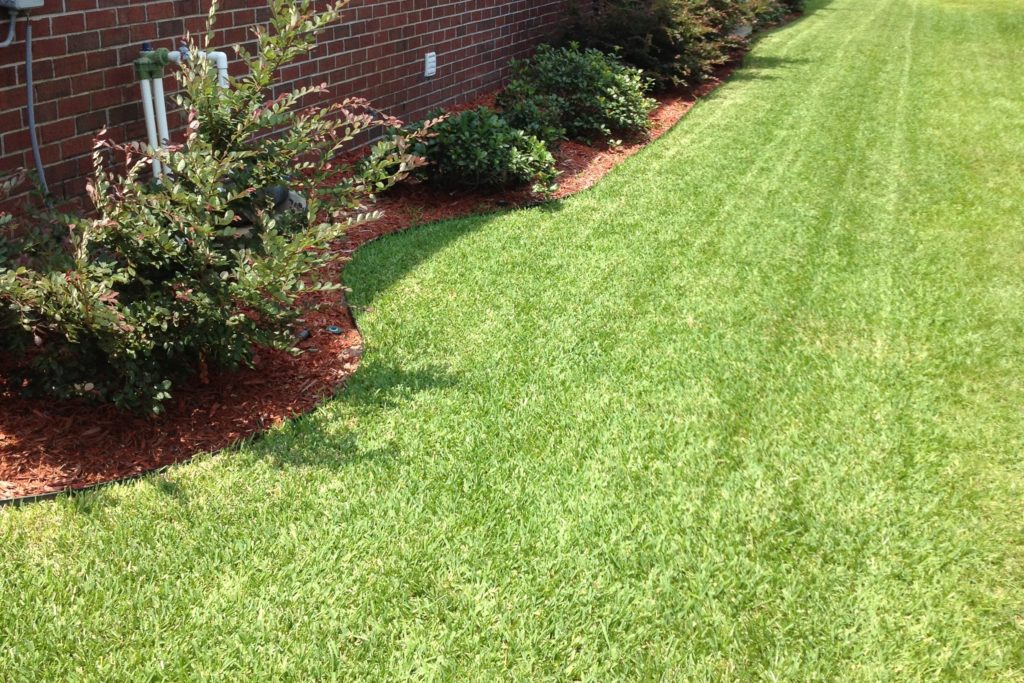 Father and Son Pest and Lawn Solutions Lawn Care