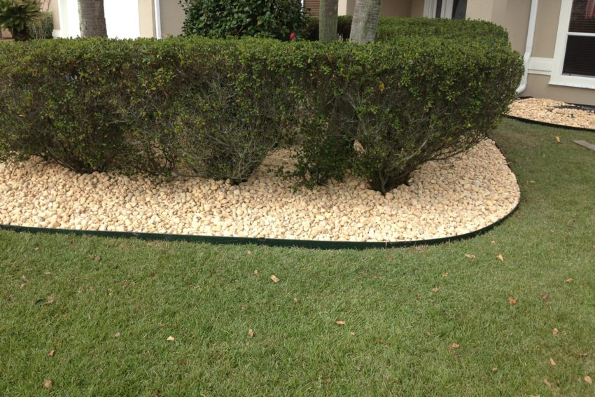 Father and Son Pest and Lawn Solutions Lawn Care